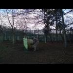 Paintball 21.01.07
