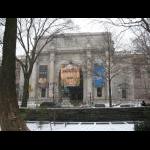 American Museum of Natural History