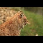 Besuch im MÃ¤r 07