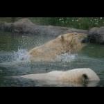 Besuch im Jun 07