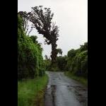 Straße am Mount Taranaki