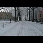 Stadtpark