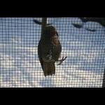 Tierpark Bochum