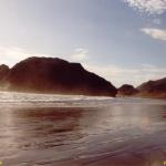 Bethells Beach