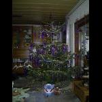 Weihnachtsbaum 2006