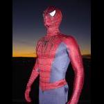 Spider-costume1